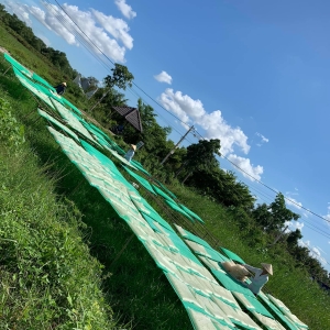 Phơi Nắng Bánh Tráng