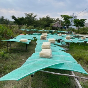 phơi sương bánh tráng